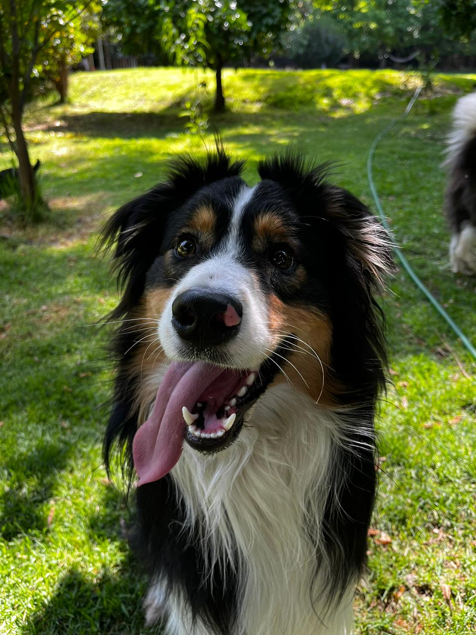 Max
